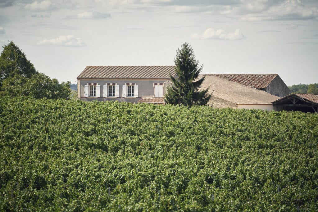 Château Bel-Air_Building & vines